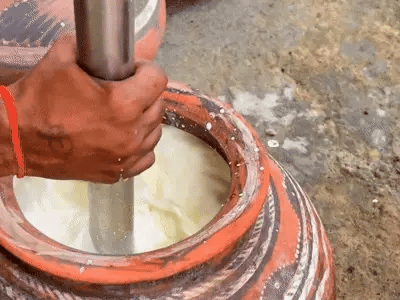 Hand-Churning the Curd with Wooden Bilona